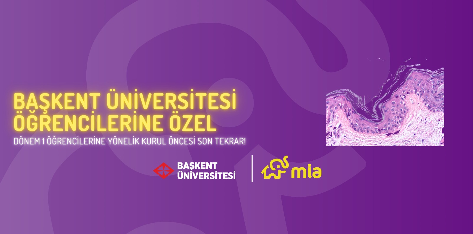 Dönem 1 Öğrencileri İçin Kurul Öncesi Son Tekrar