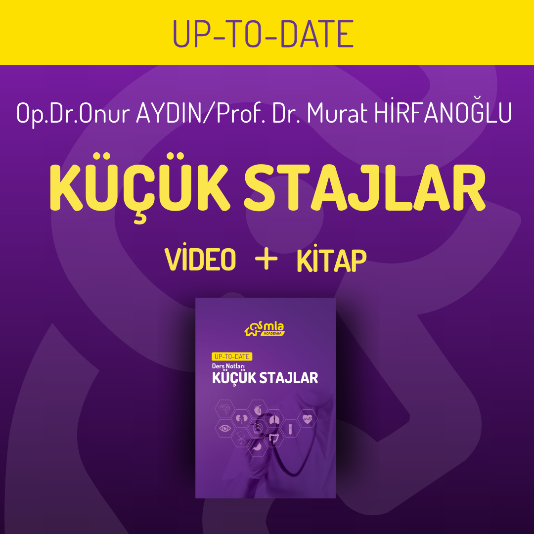 Up-To-Date Küçük Stajlar Eğitim Seti