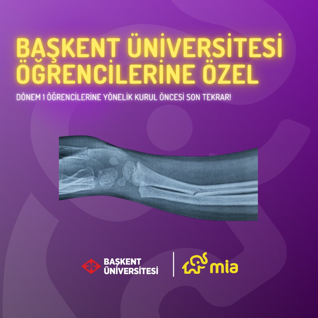 Lab Dersi Üst Ekstremite Anatomisi Başkent Üniversitesi Öğrencilerine Özel Dönem 1 Öğrencileri İçin Kurul Öncesi Tekrar